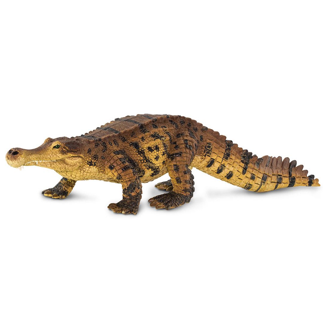 sarcosuchus.jpg