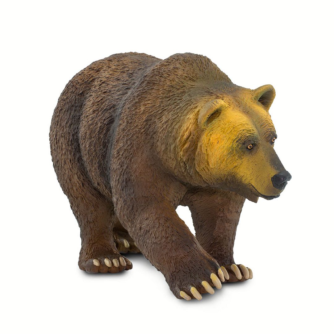 medved-grizzly.jpg