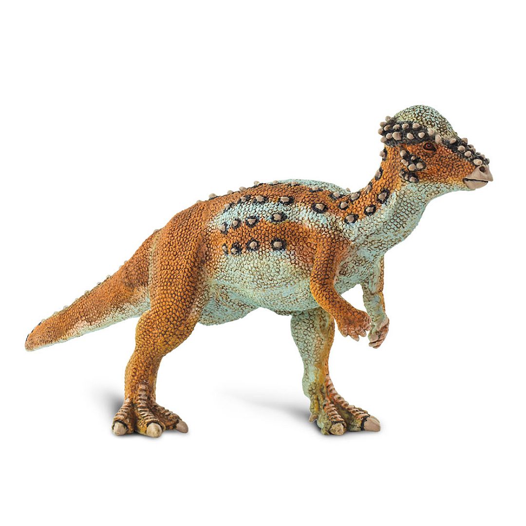 pachycephalosaurus.jpg