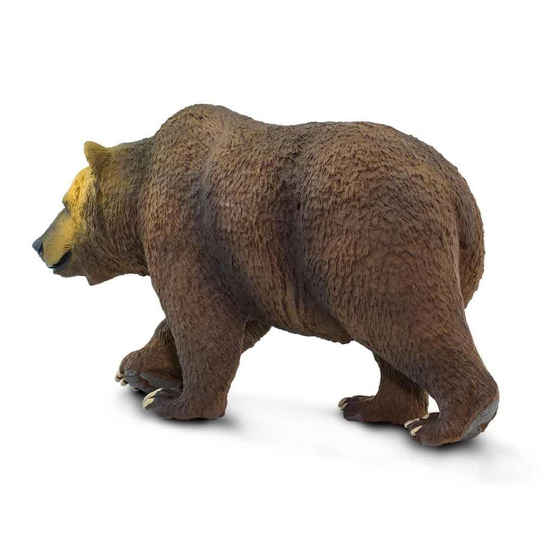 medved-grizzly.jpg