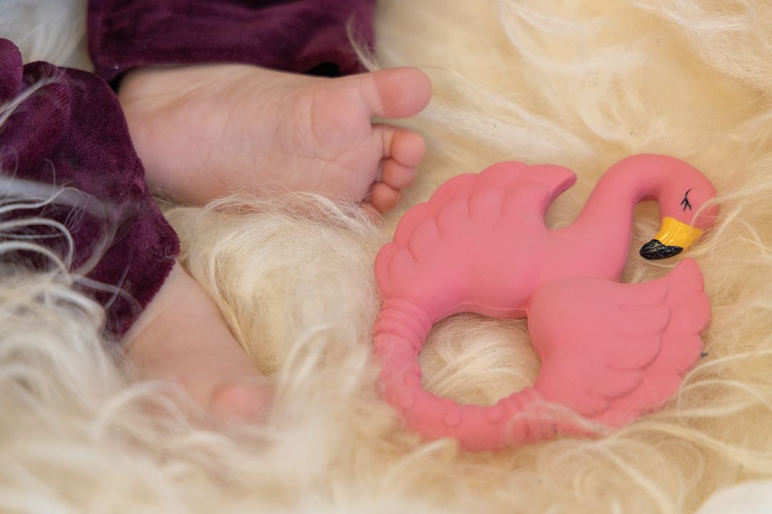 Natruba-Flamingo-teether-closeup1.jpg