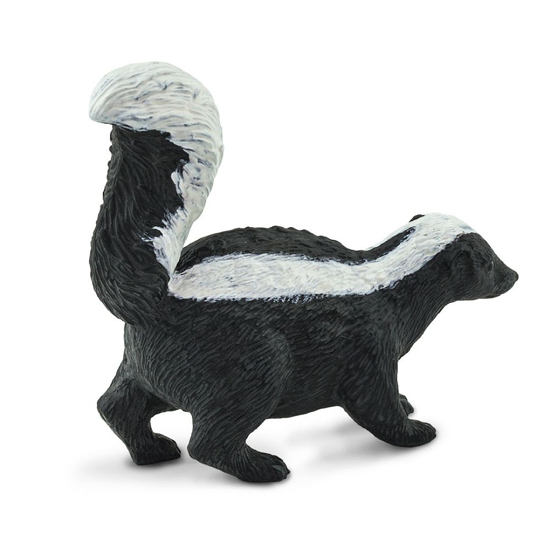 skunk-pruhovany.jpg