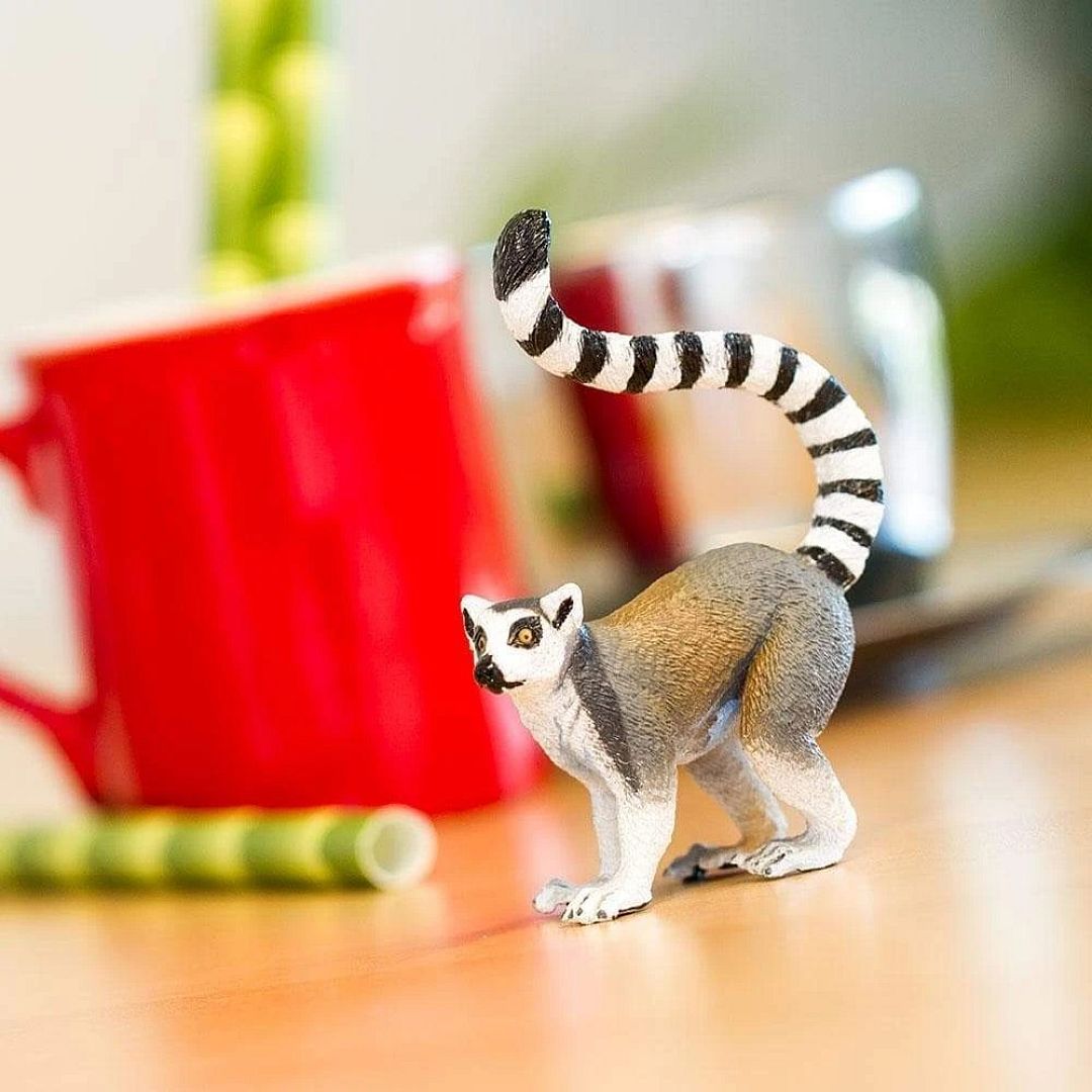 lemur.jpg