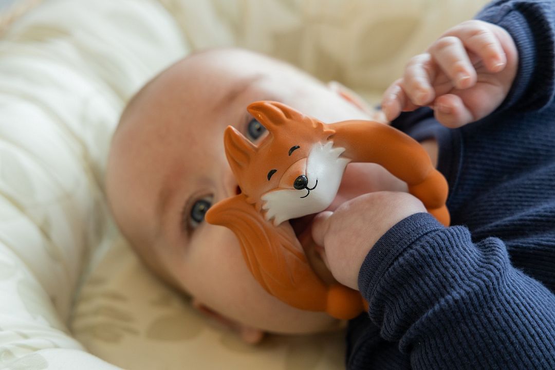 Natruba-Fox-teether-boy2.jpg