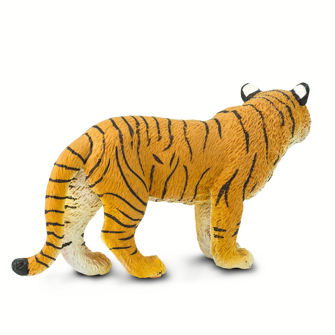 samice-tygra-bengalskeho.jpg