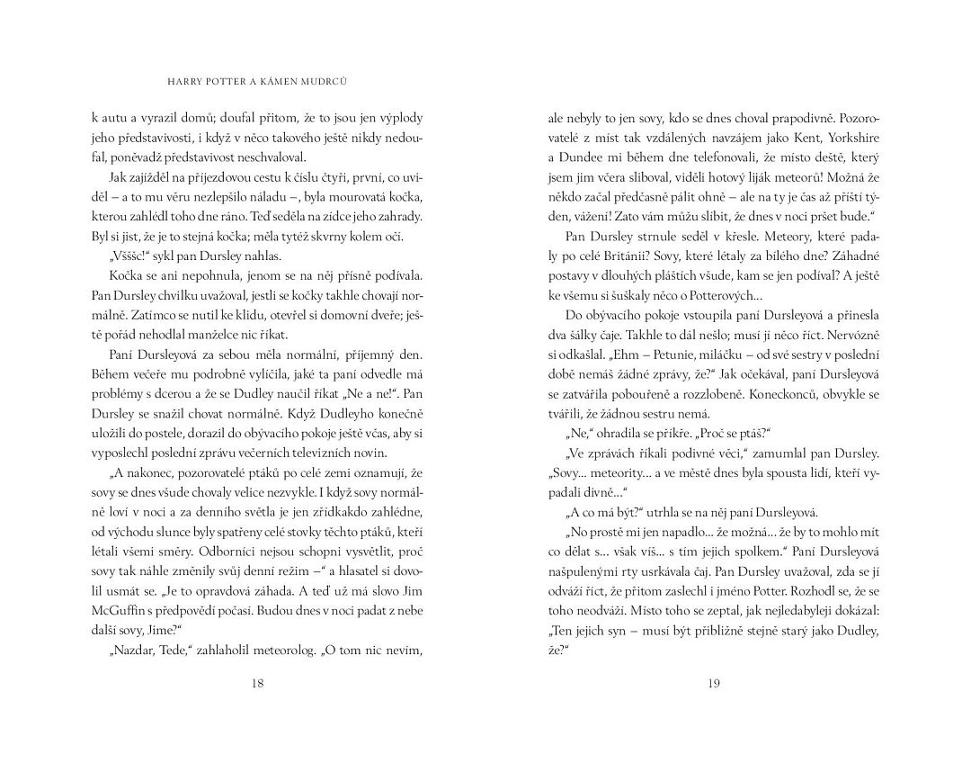 Harry-Potter-a-Kamen-mudrcu-004.jpg