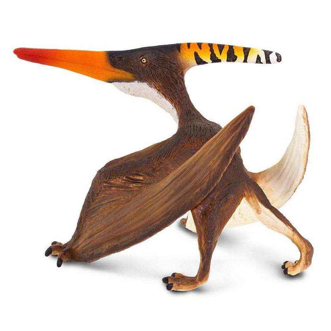 pteranodon.jpg