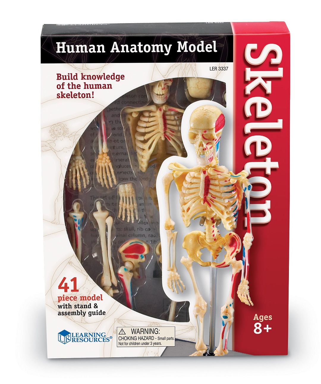 anatomicky-model-lidske-kostry.jpg