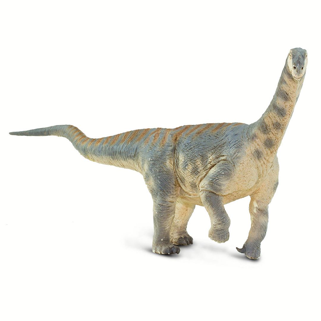 camarasaurus.jpg