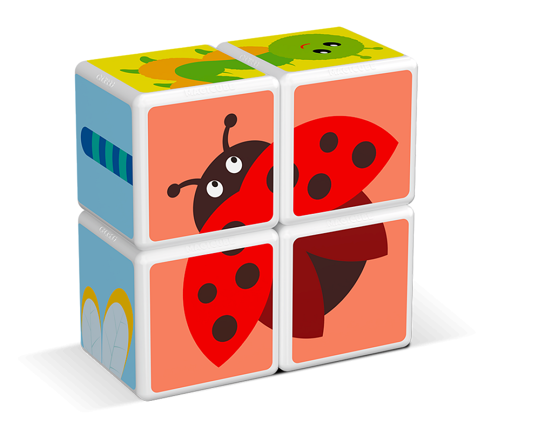 121GEO-magicube-insects-4-diely-6.png