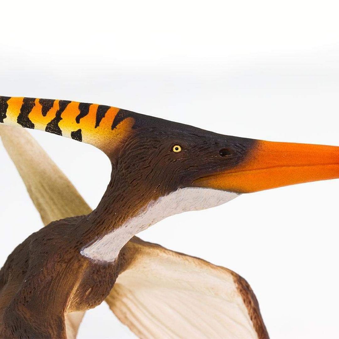 pteranodon.jpg