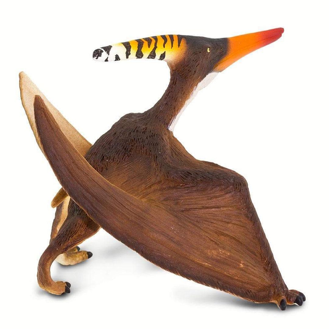 pteranodon.jpg