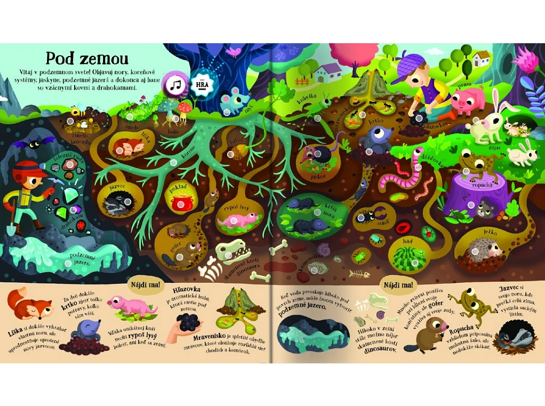 najdi-ma-svet-okolo-nas-svojtka-4.png
