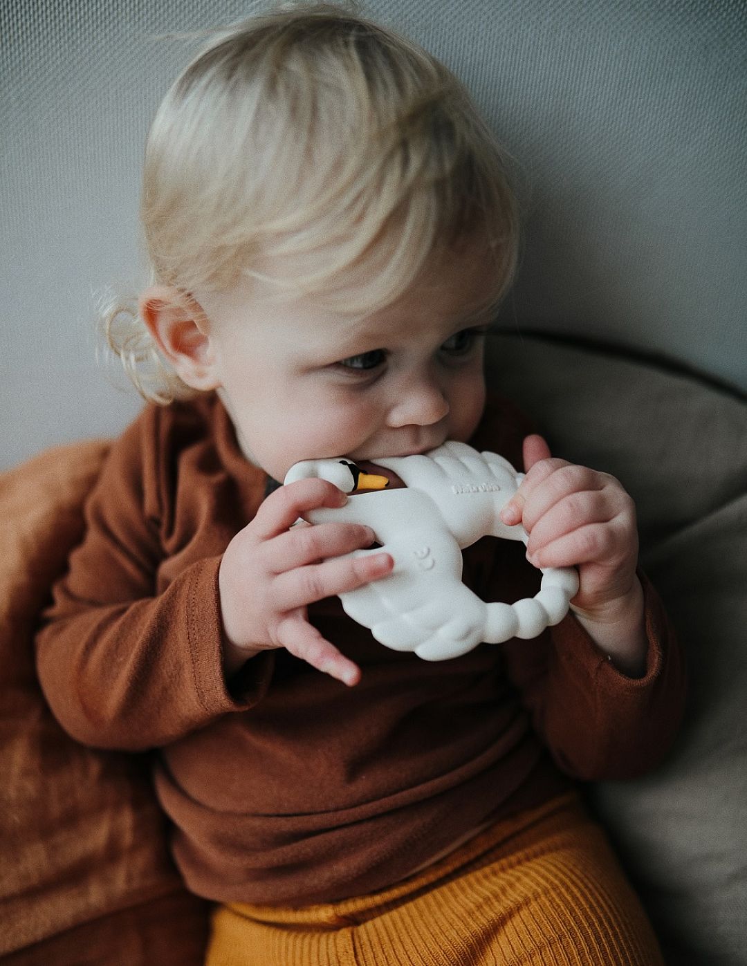 Natruba-swan-teether-biting.jpg