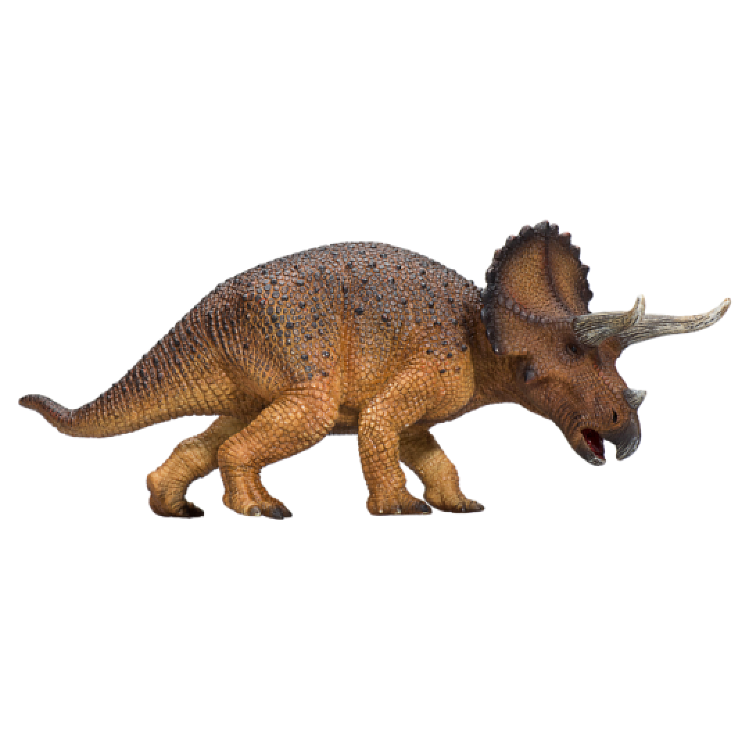 387364_Triceratops_1-540x540.png