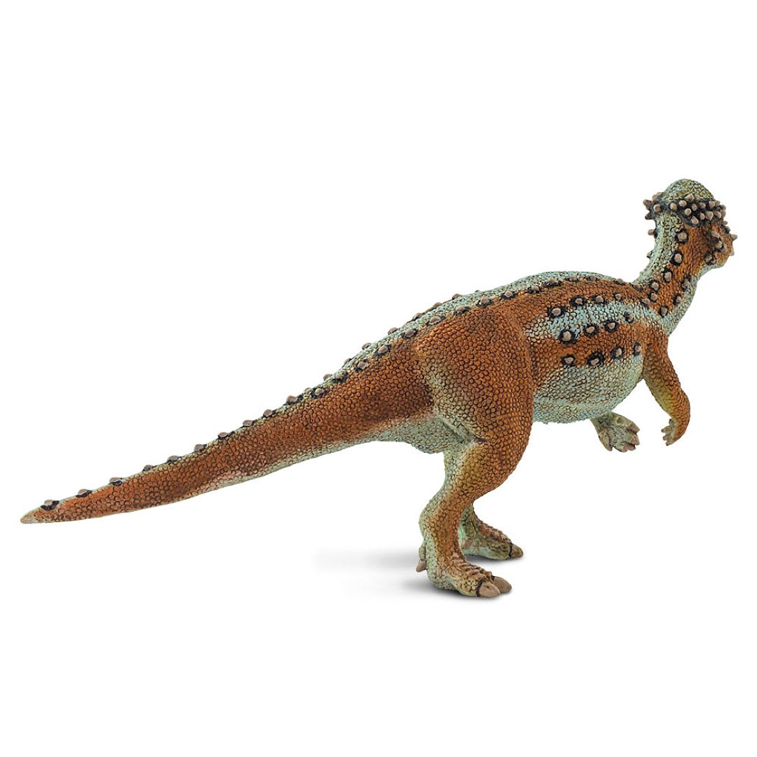 pachycephalosaurus.jpg