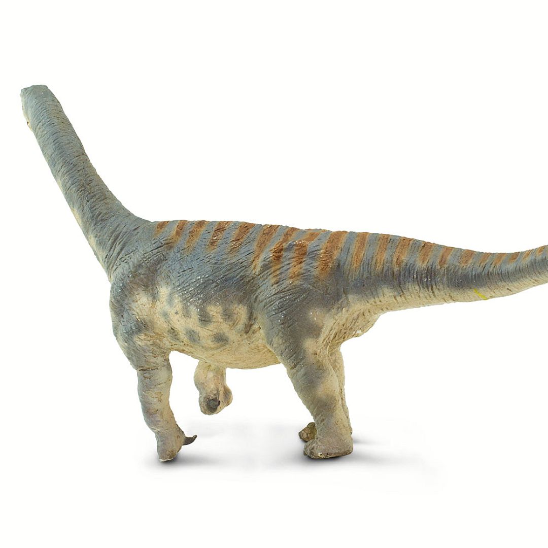 camarasaurus.jpg