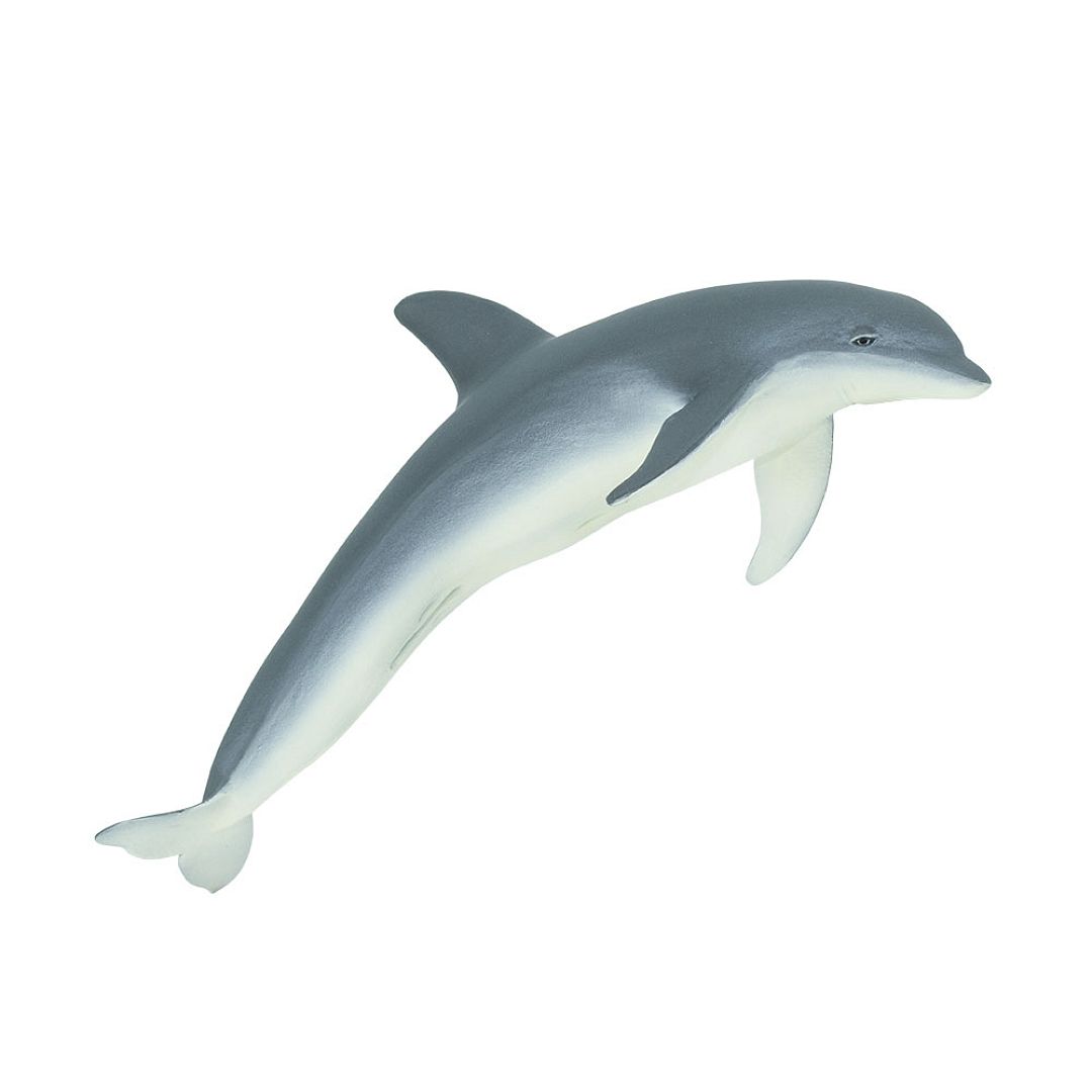 delfin.jpg