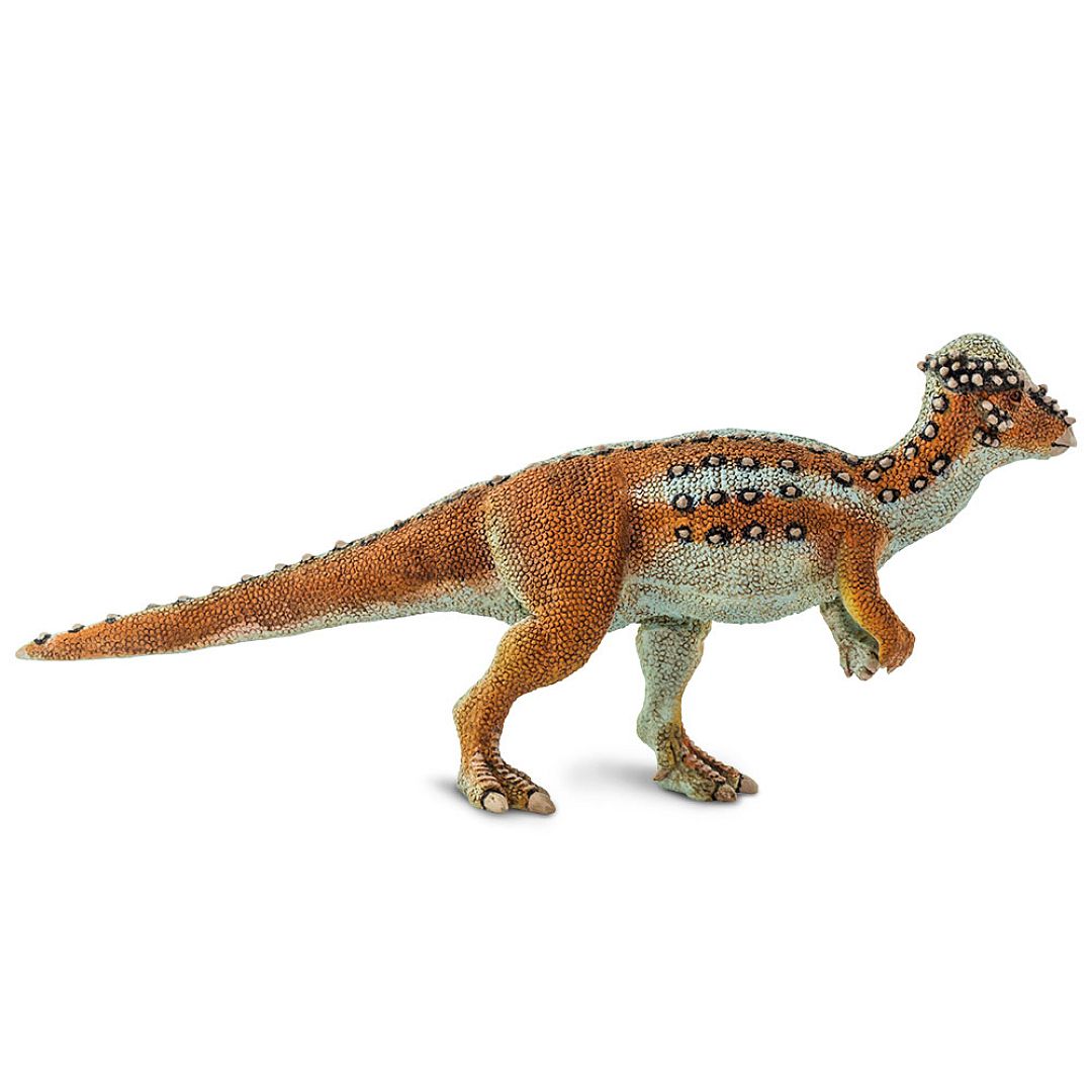 pachycephalosaurus.jpg