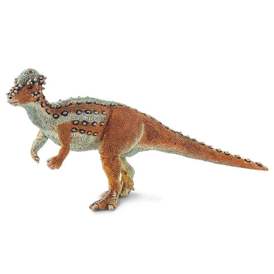 pachycephalosaurus.jpg