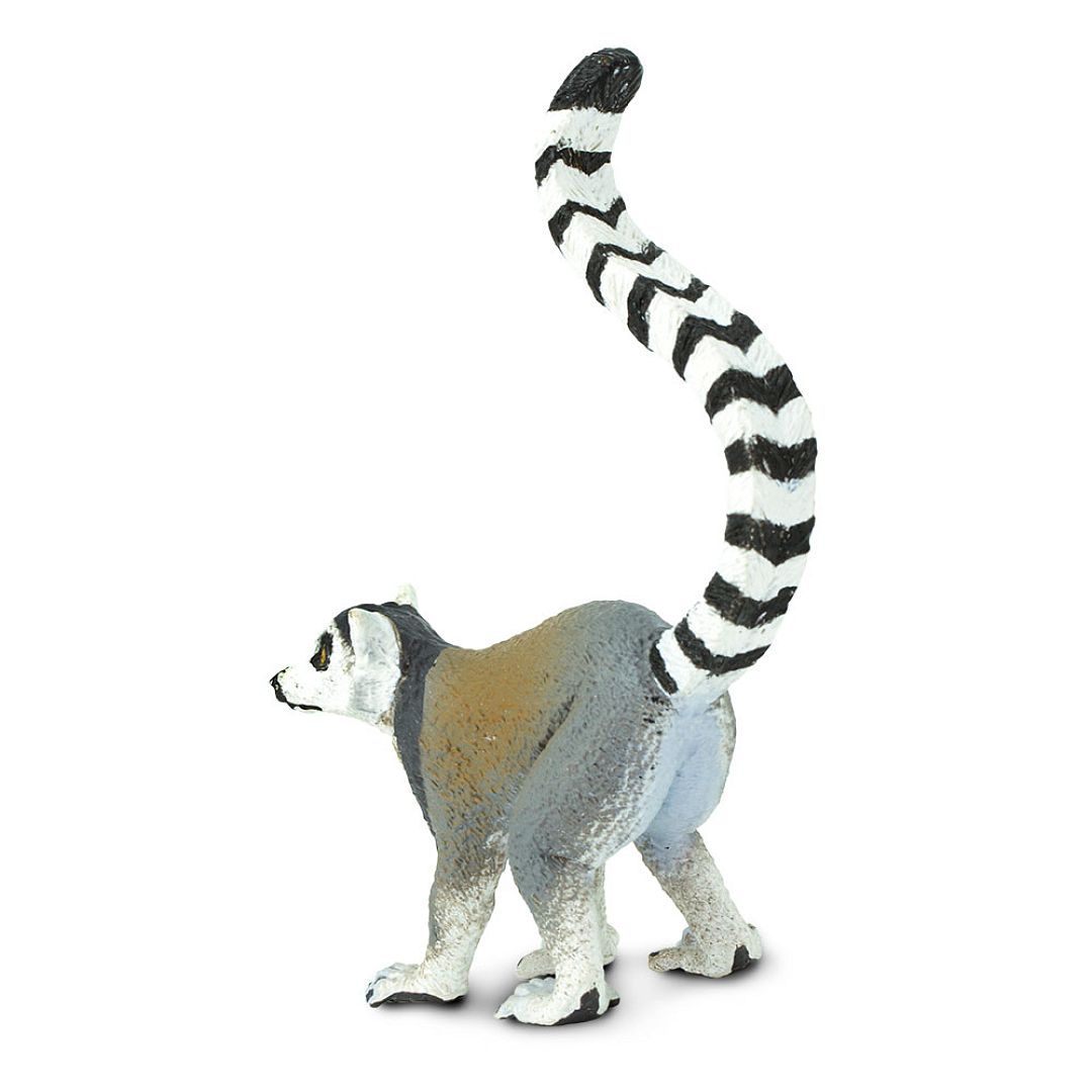 lemur.jpg