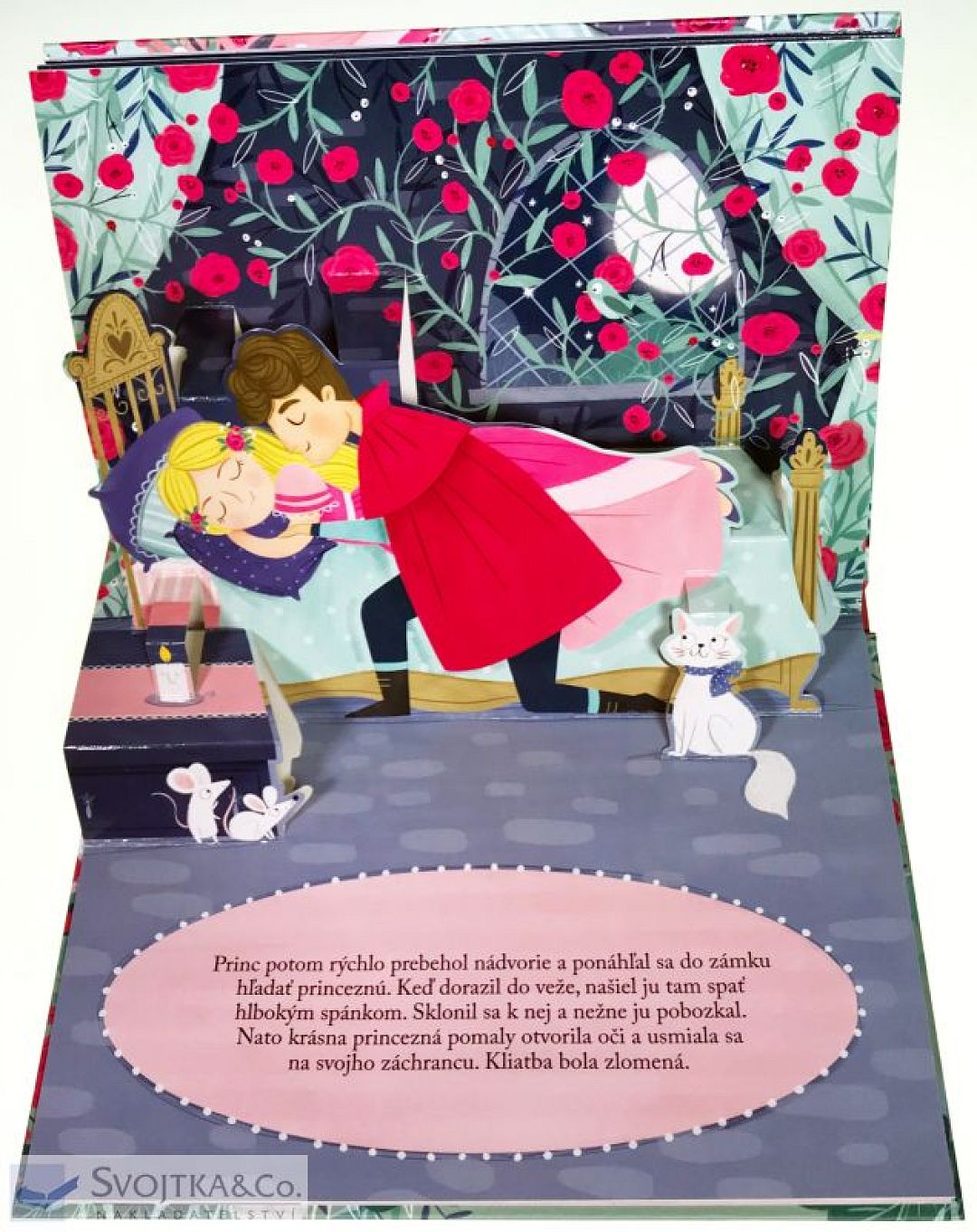 sipkova-ruzenka-priestorove-leporelo-svojtka-05.jpg