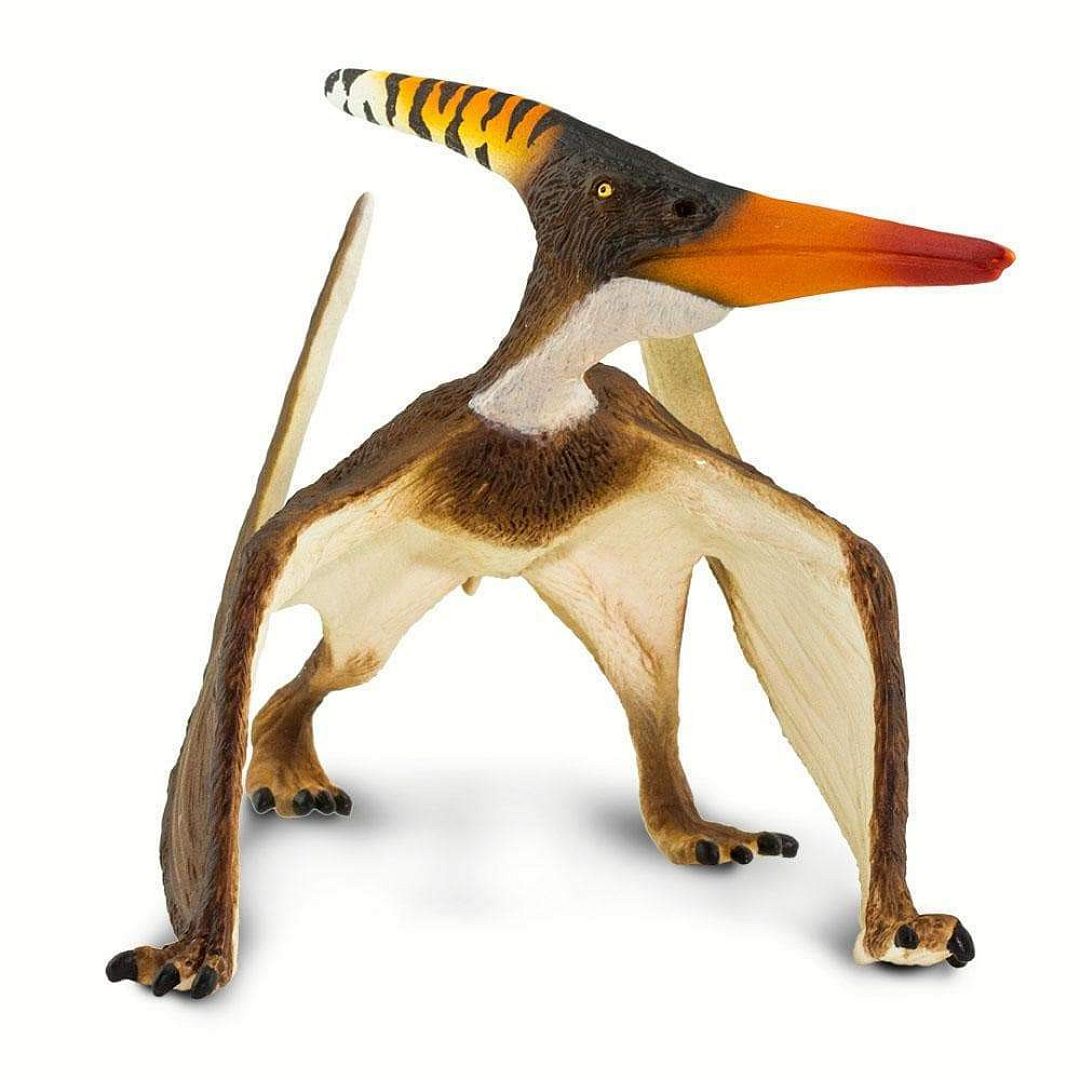 pteranodon.jpg