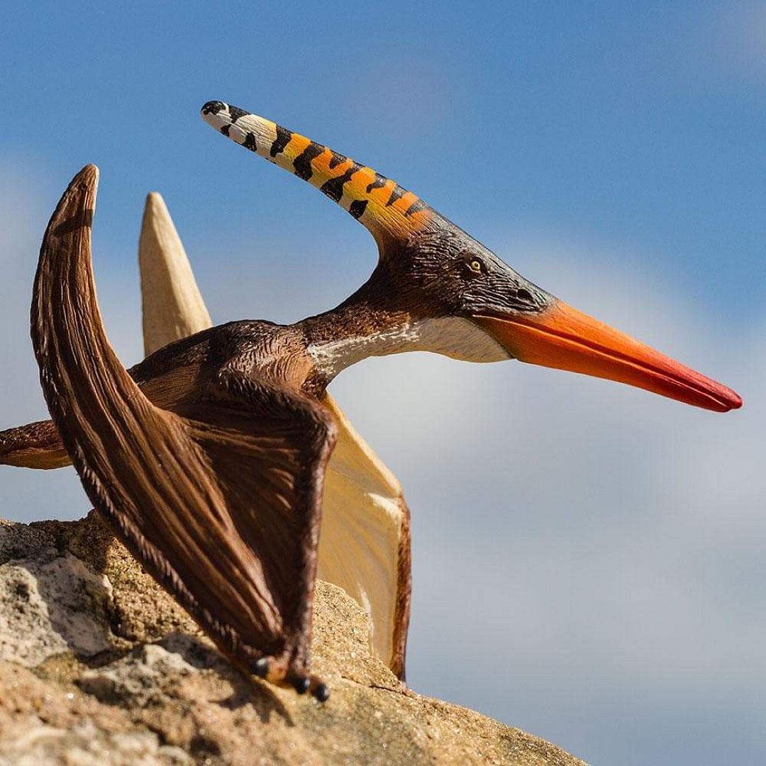 pteranodon.jpg