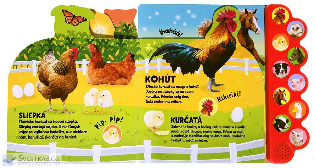 buu-kac-kac-chro-chro-vypocujte-si-zvierata-z-farmy-svojtka-sk-05.jpg