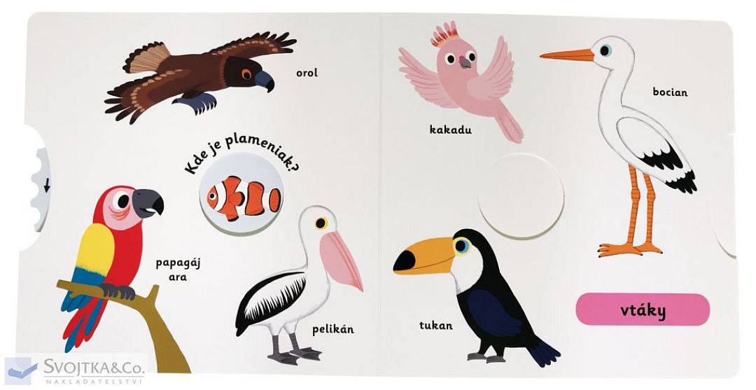 minipedia-objavujeme-svet-hrou-zoo-svojtka-sk-nathalie-choux-05.jpg