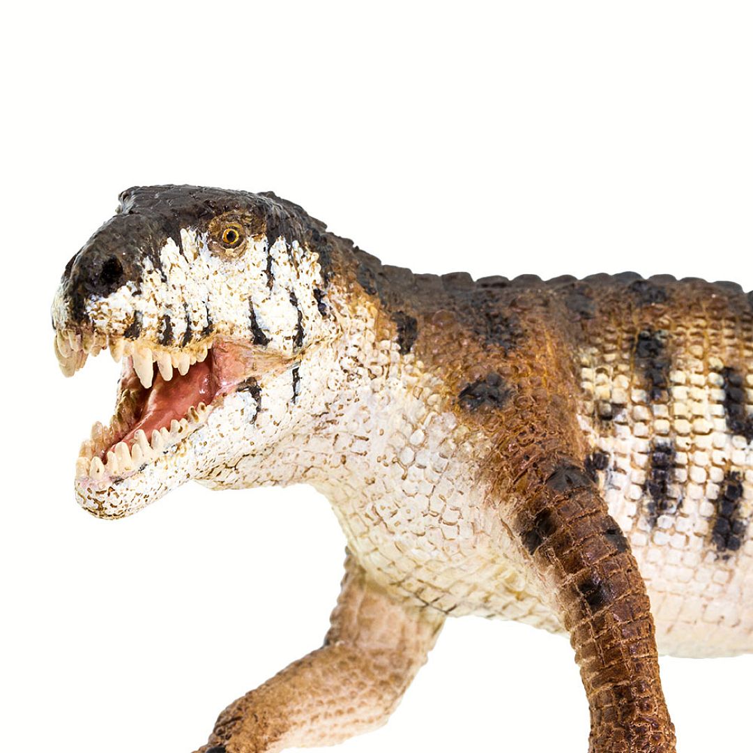 prestosuchus.jpg