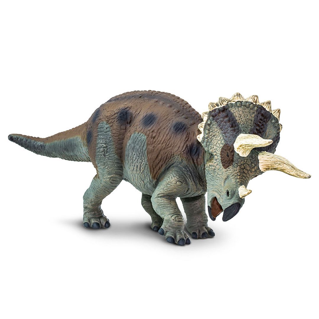 triceratops.jpg