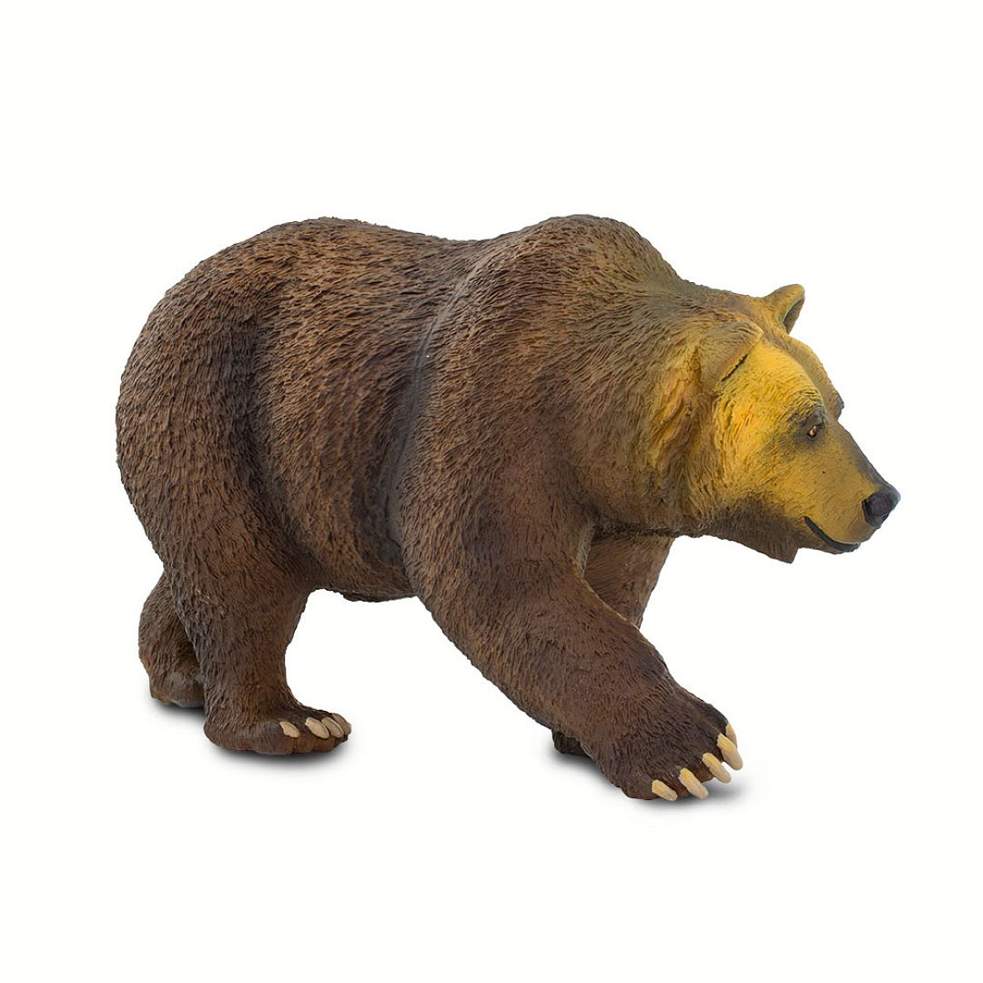 medved-grizzly.jpg