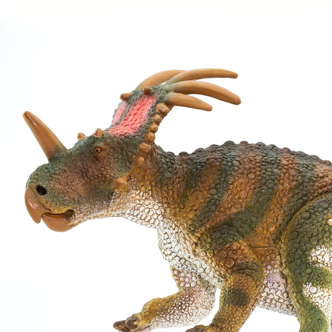 styracosaurus.jpg