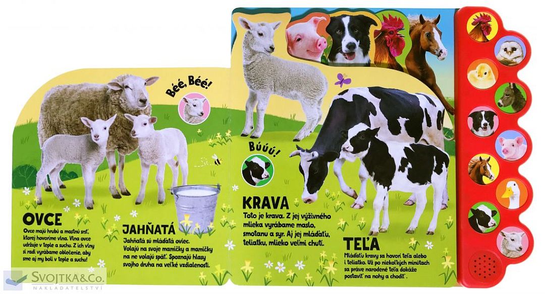 buu-kac-kac-chro-chro-vypocujte-si-zvierata-z-farmy-svojtka-sk-02.jpg