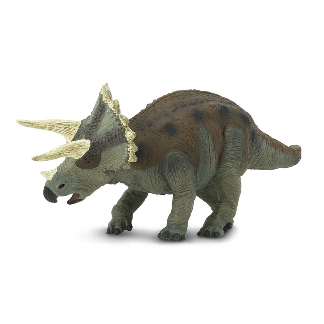 triceratops.jpg