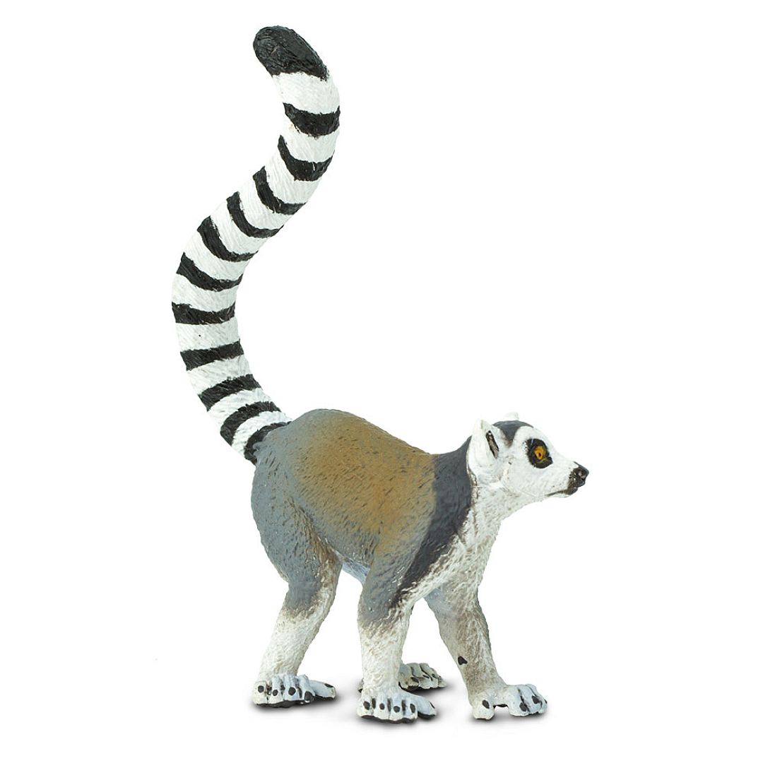 lemur.jpg