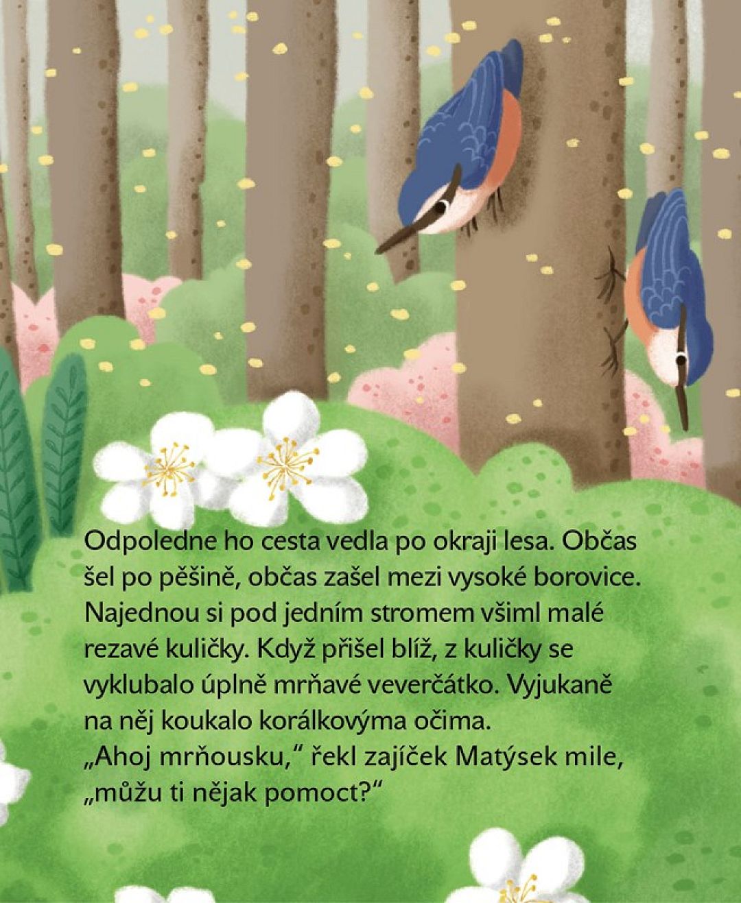 7789-matyskovy-dobre-skutky_05.jpg