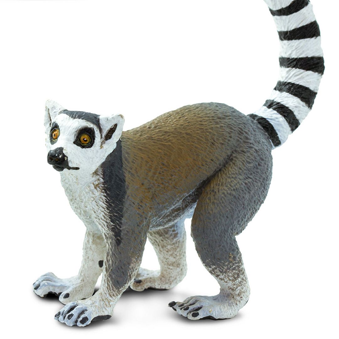 lemur.jpg