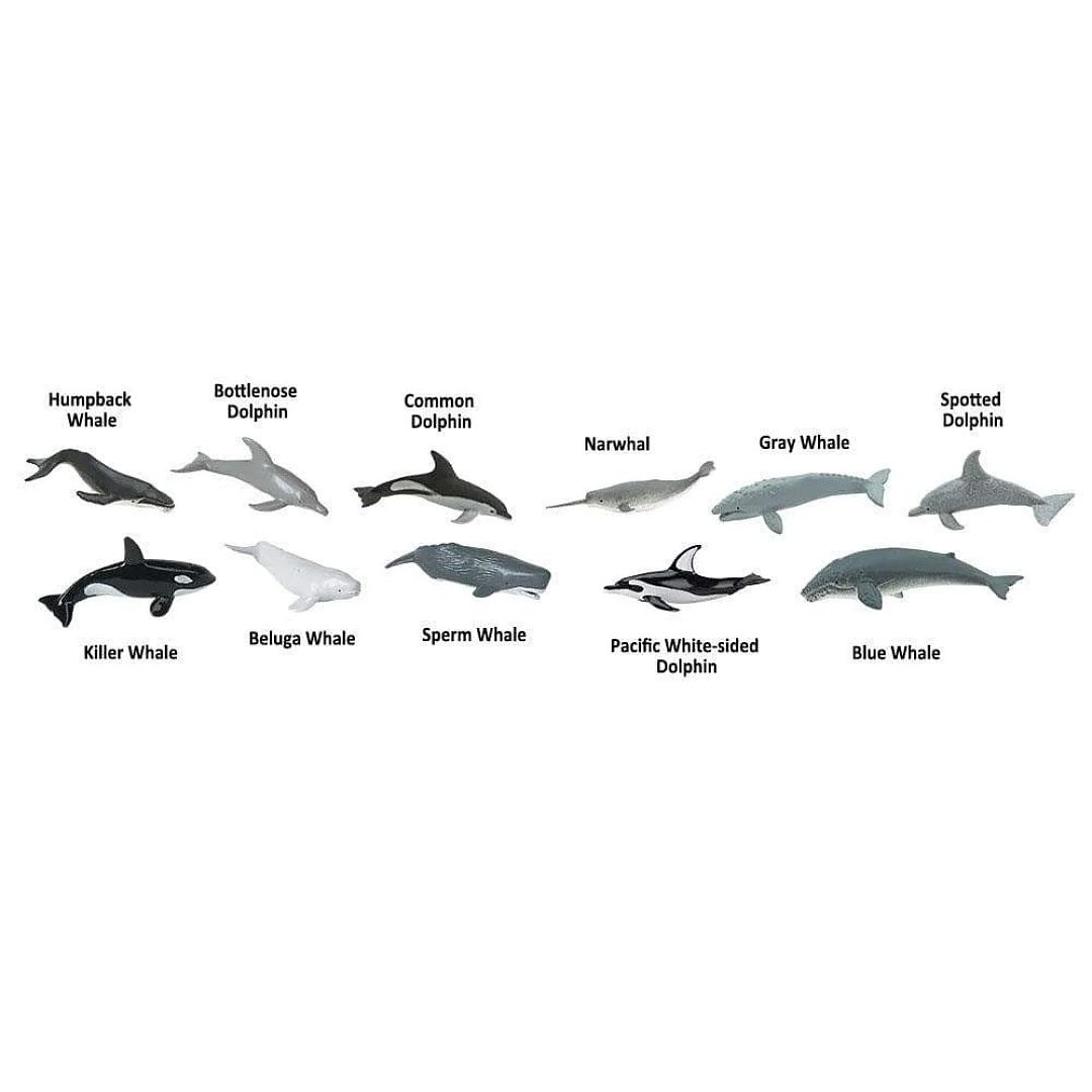 velryby-a-delfini.jpg