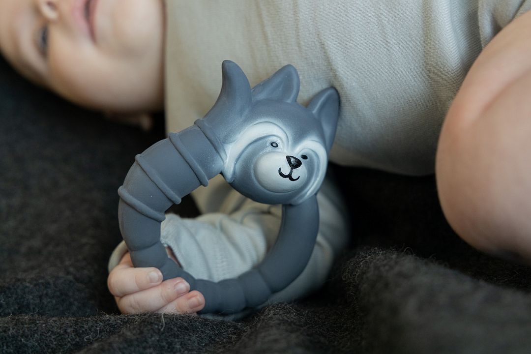 Natruba-Raccoon-teether-closeup.jpg