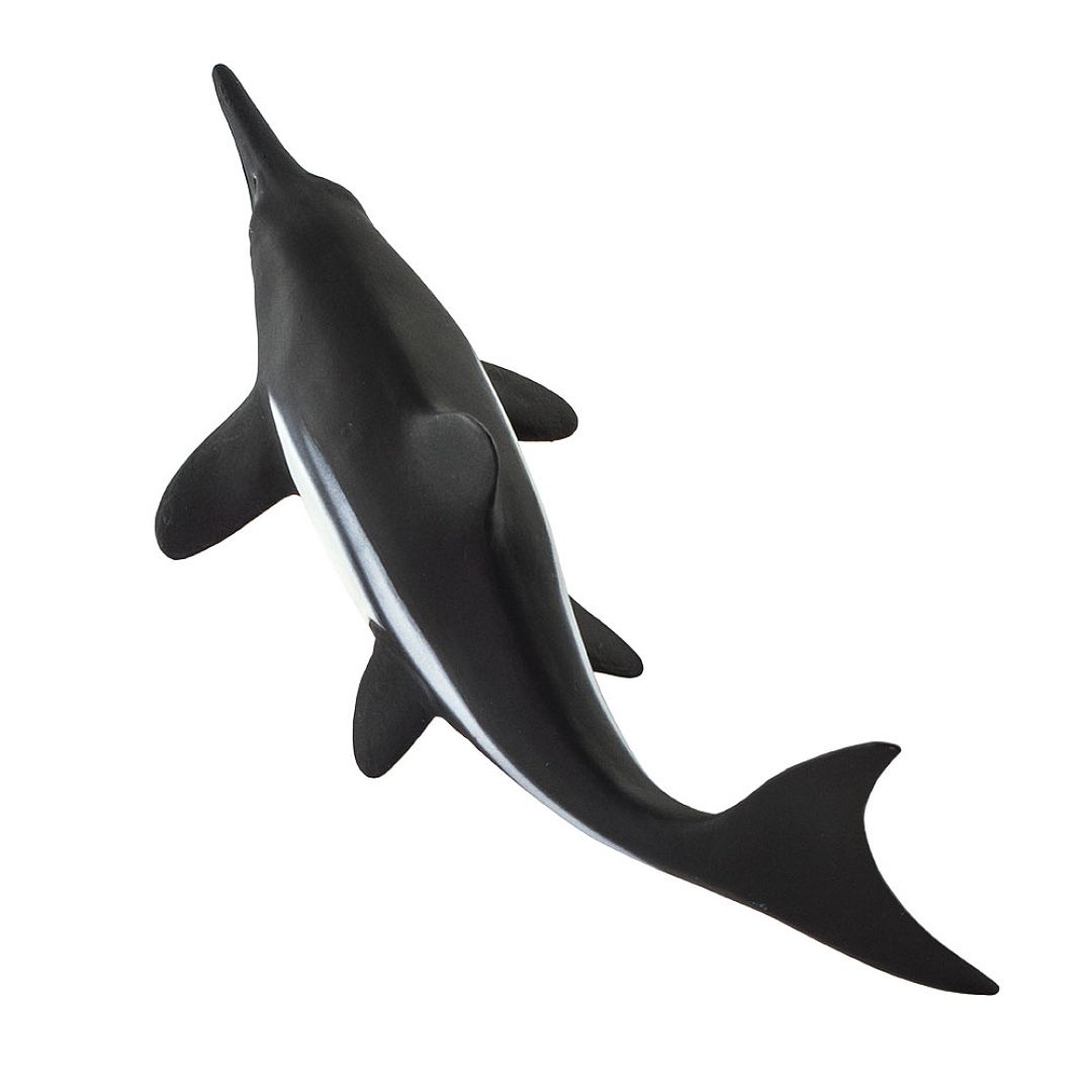 ichthyosaurus.jpg