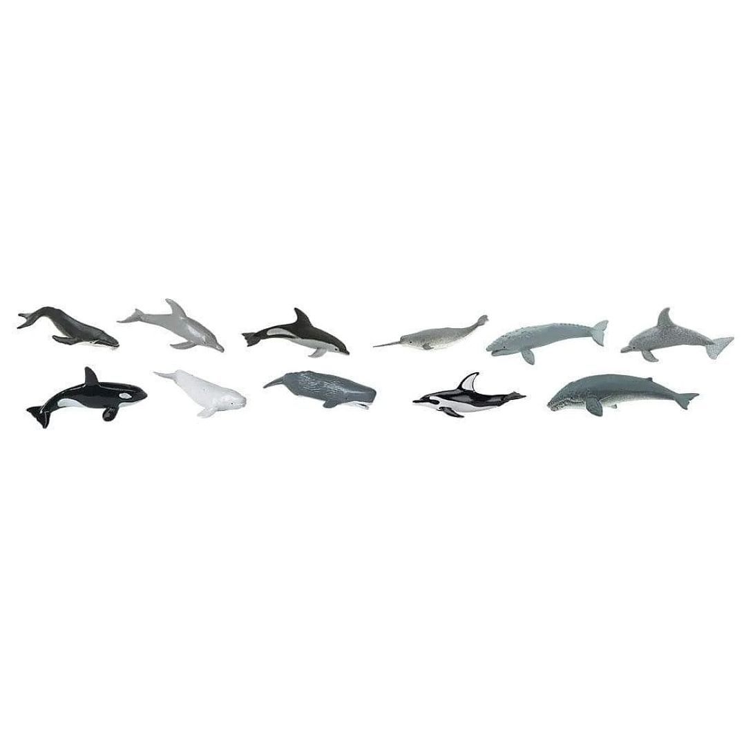 velryby-a-delfini.jpg
