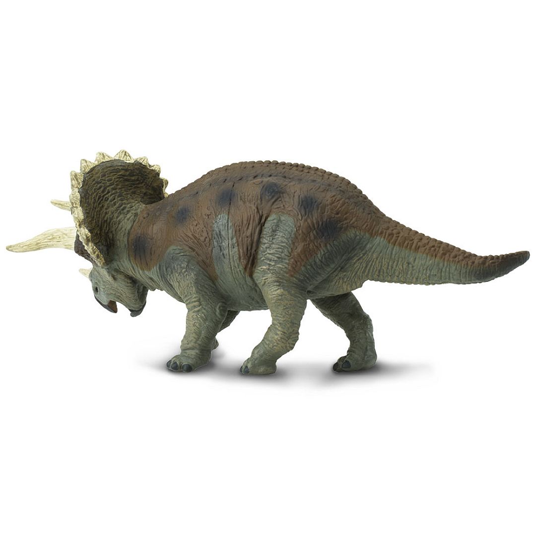 triceratops.jpg