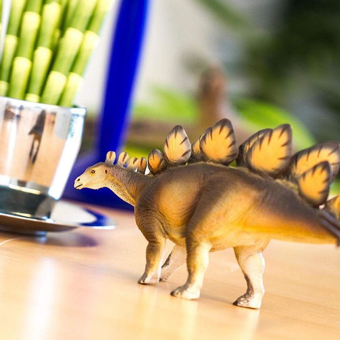 stegosaurus.jpg