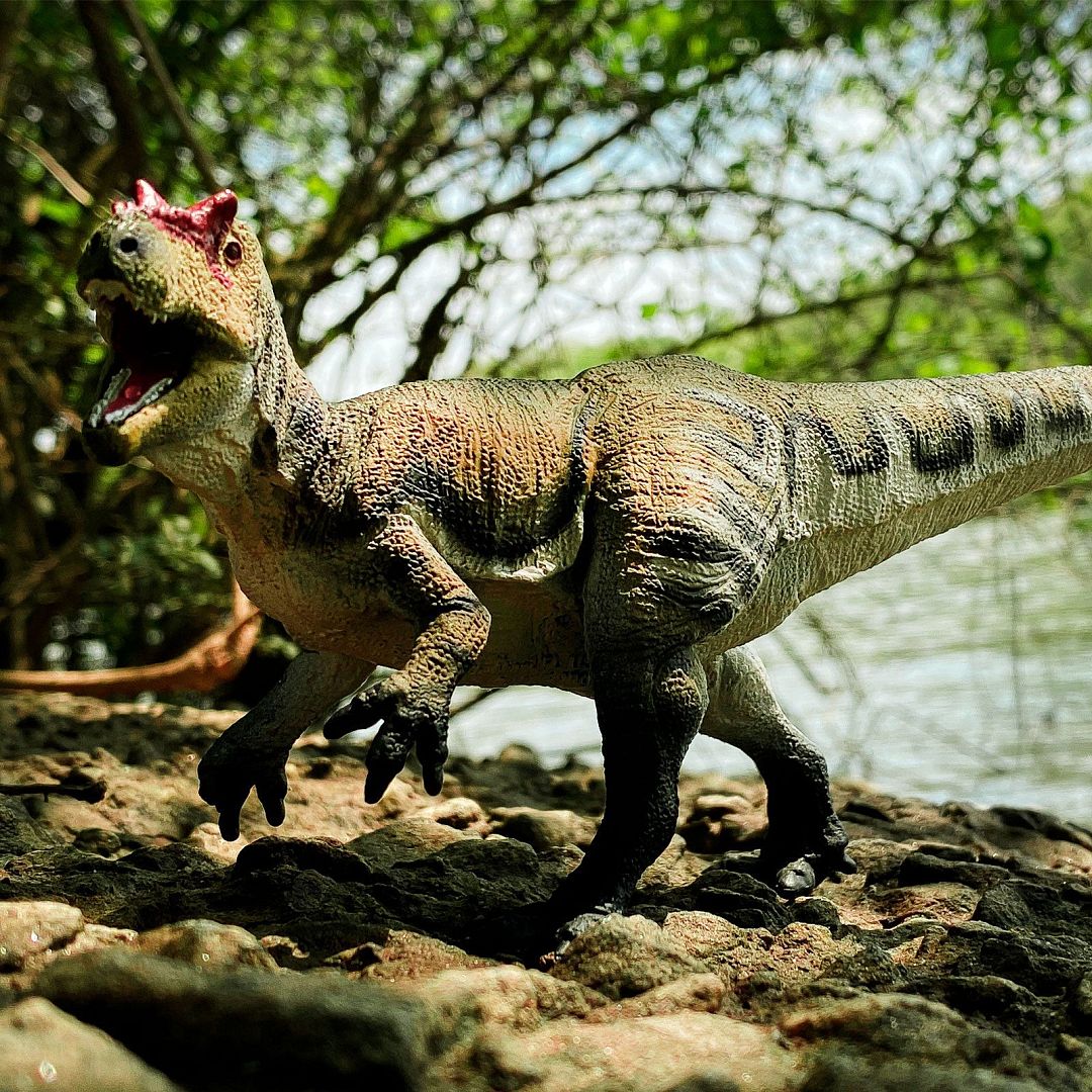 allosaurus.jpg