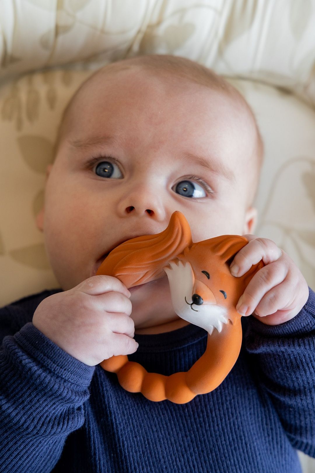 Natruba-Fox-teether-boy.jpg