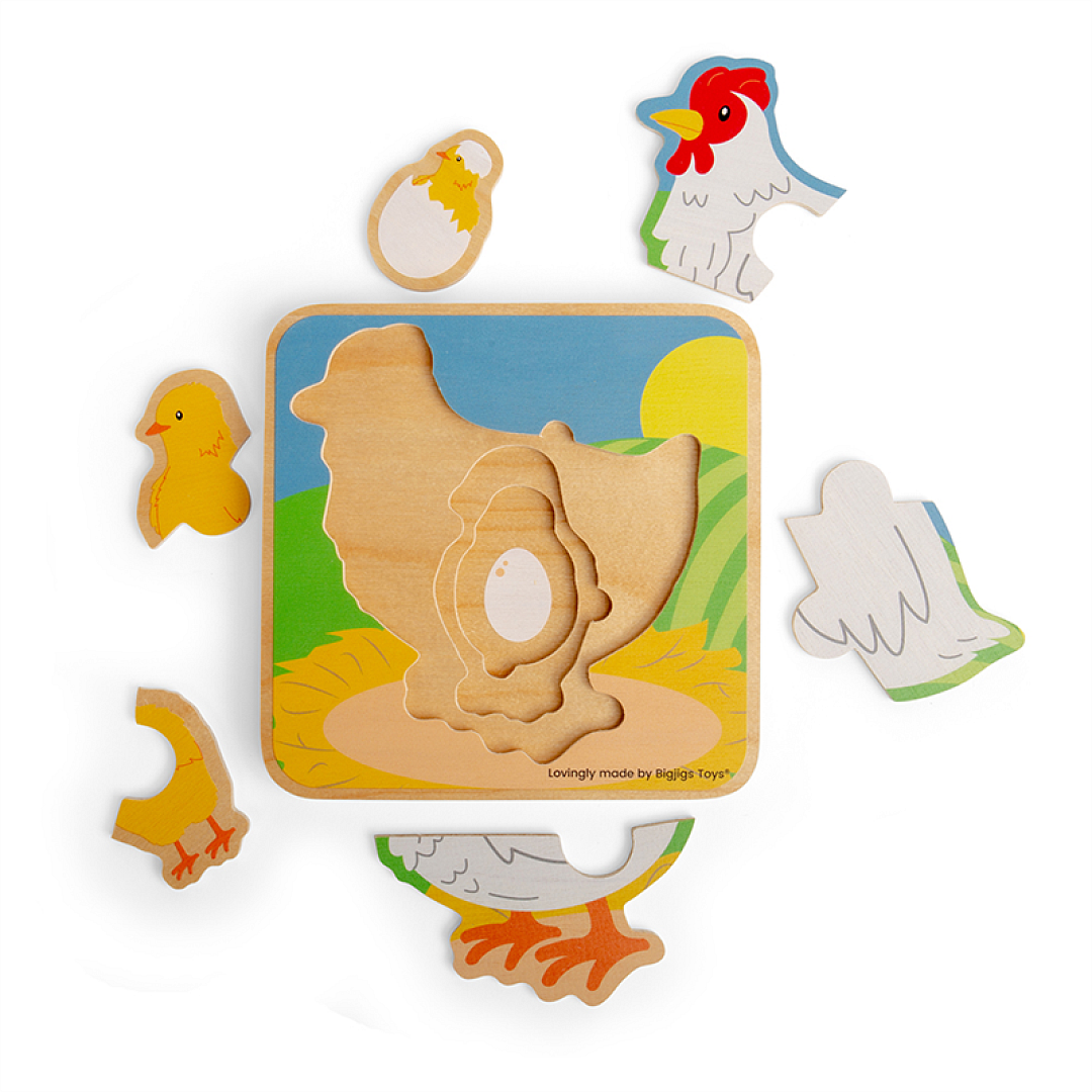 Lifecycle-Puzzle---Chicken_800x800%20(5).png