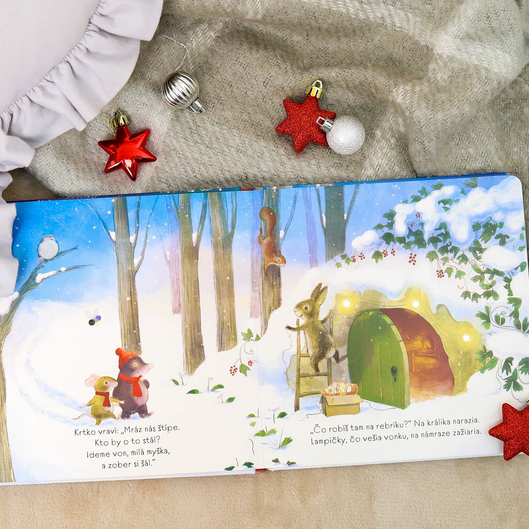 7413-vianocny-stromcek---ziariva-kniha_03.JPG