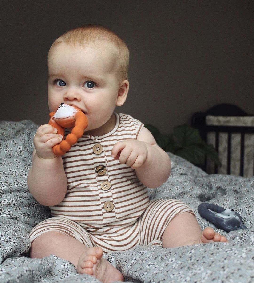 Natruba-Fox-teether-boy6.jpg